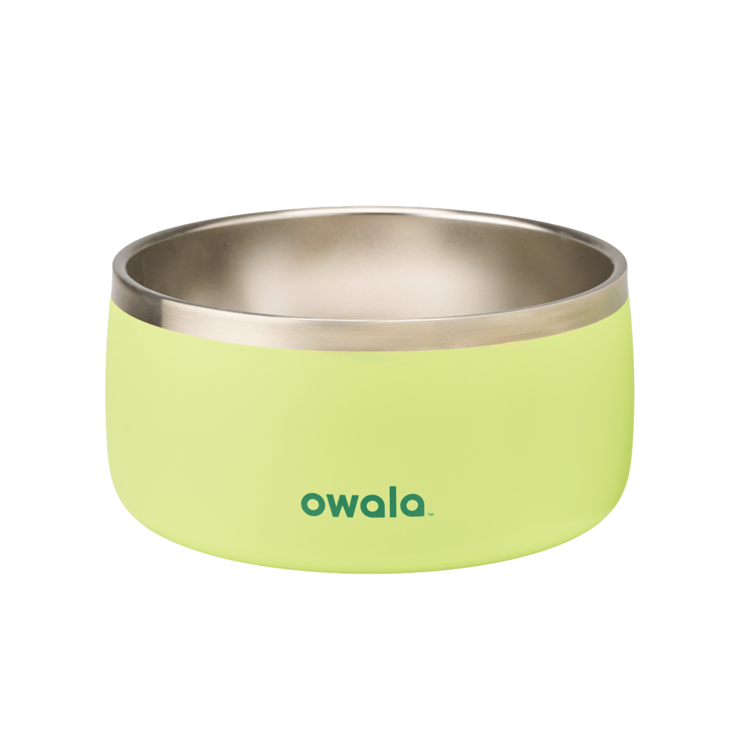 Pet Bowl Y8WO