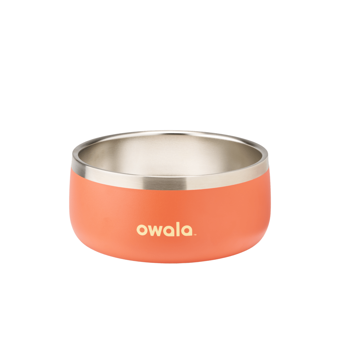Pet Bowl Y8WO