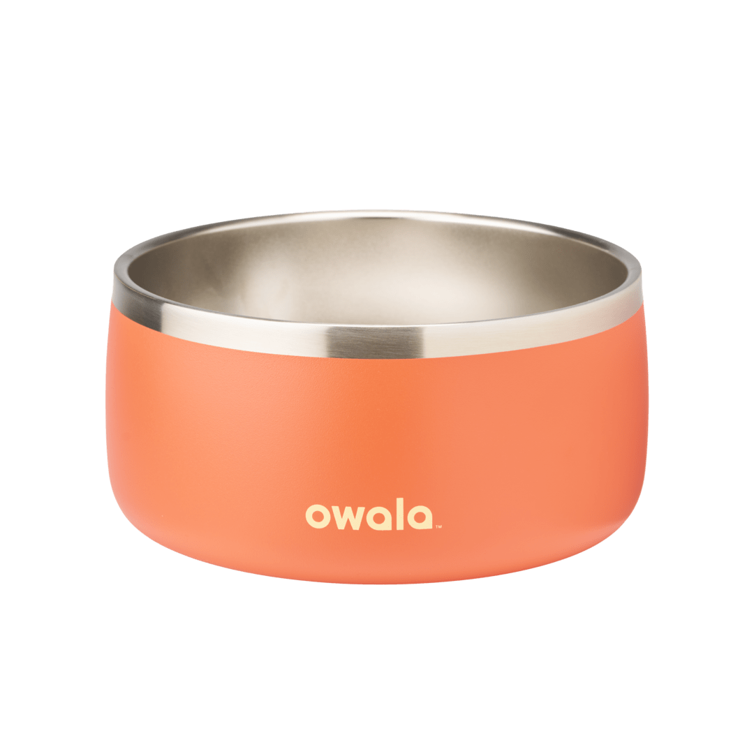 Pet Bowl (S6TLJ)