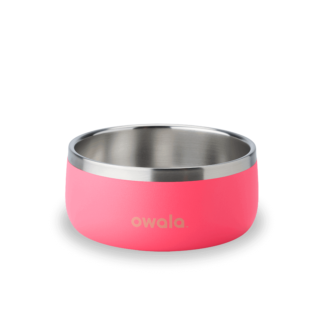 Pet Bowl Y8WO
