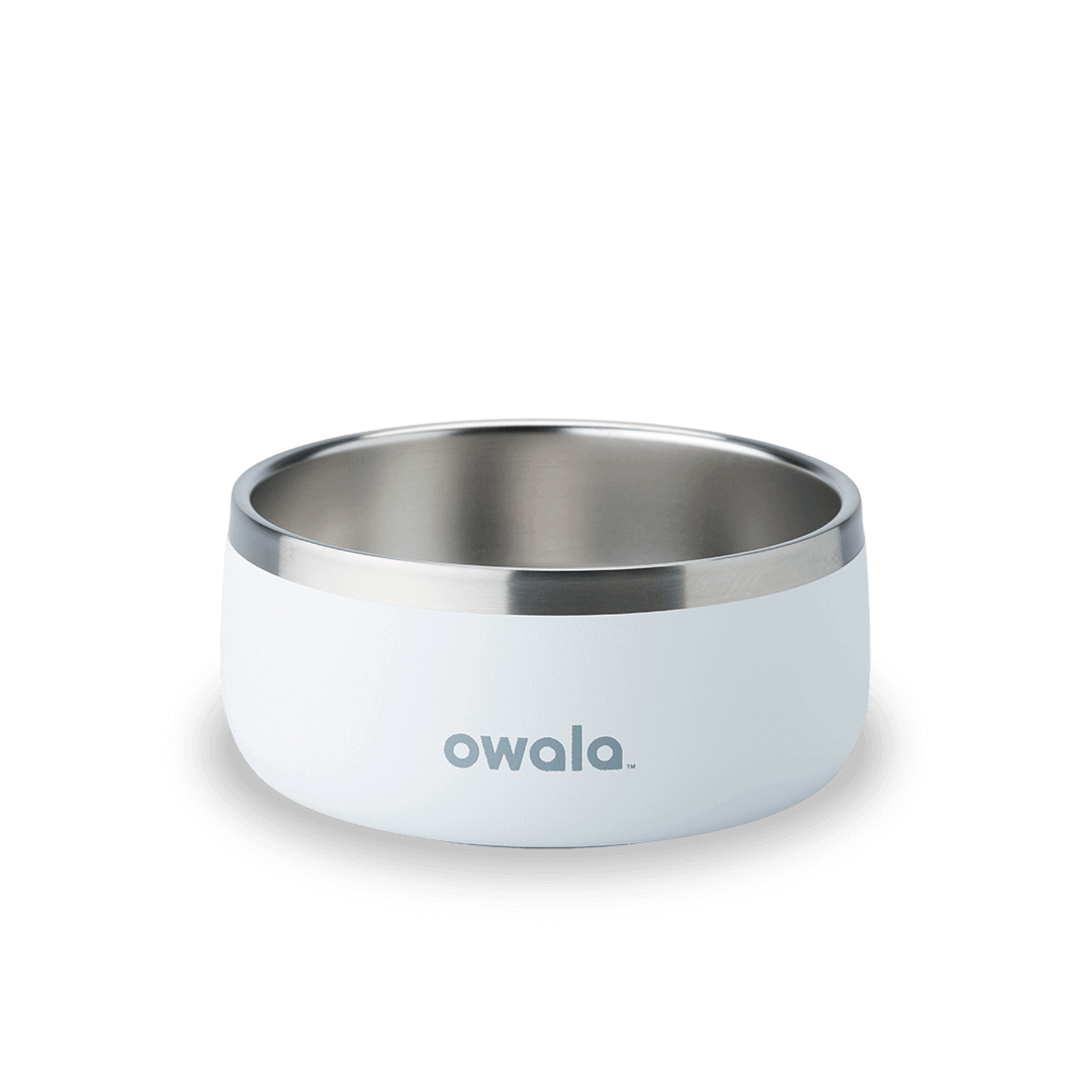 Pet Bowl (S6TLJ)